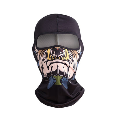 Outdoor Full Face Windproof Character Mask