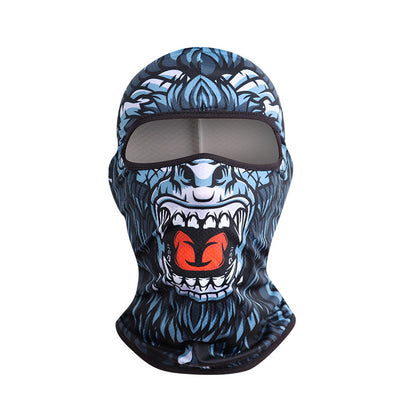 Outdoor Full Face Windproof Character Mask